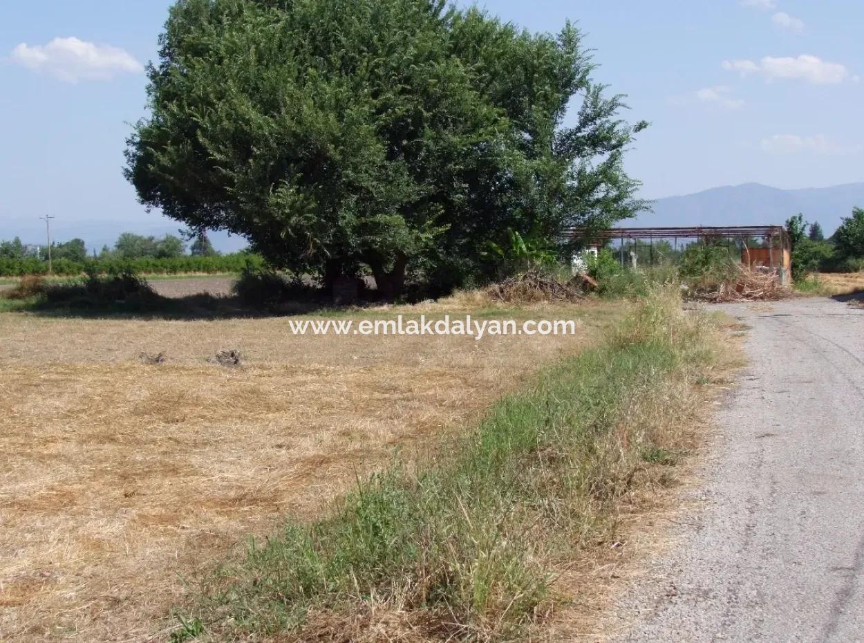 Okçular'da Satılık Arsa Dalyan Okçularda Köşe 650M2 Satılık Arsa
