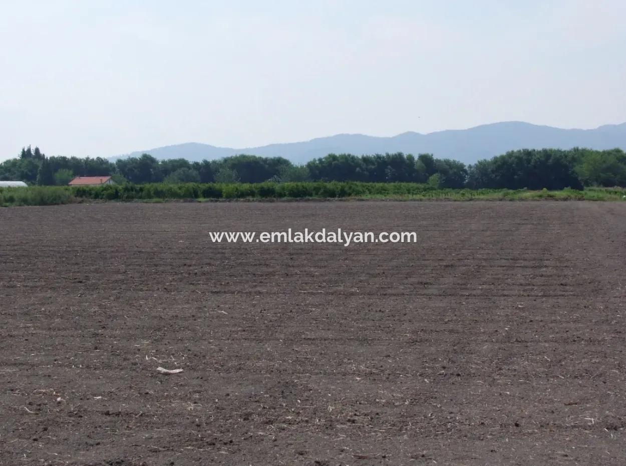 Eskiköyde Satılık Arsa Tarla Ortaca Dalyan Eskiköyde 15,760M2 Satlık Arsa Tarla
