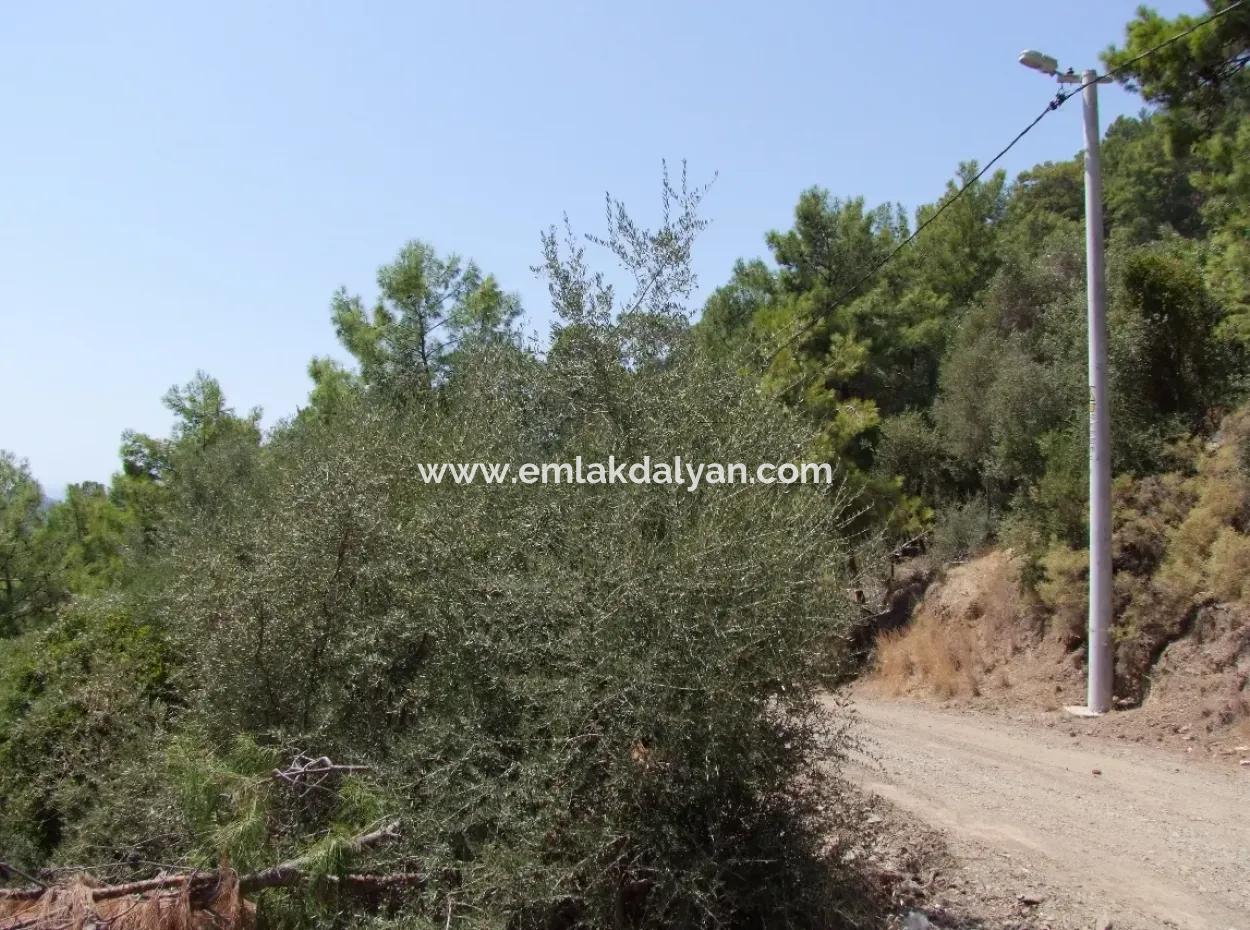 Sarıgerme Satılık Arsa Full Deniz Manzaralı Satılık Arsa