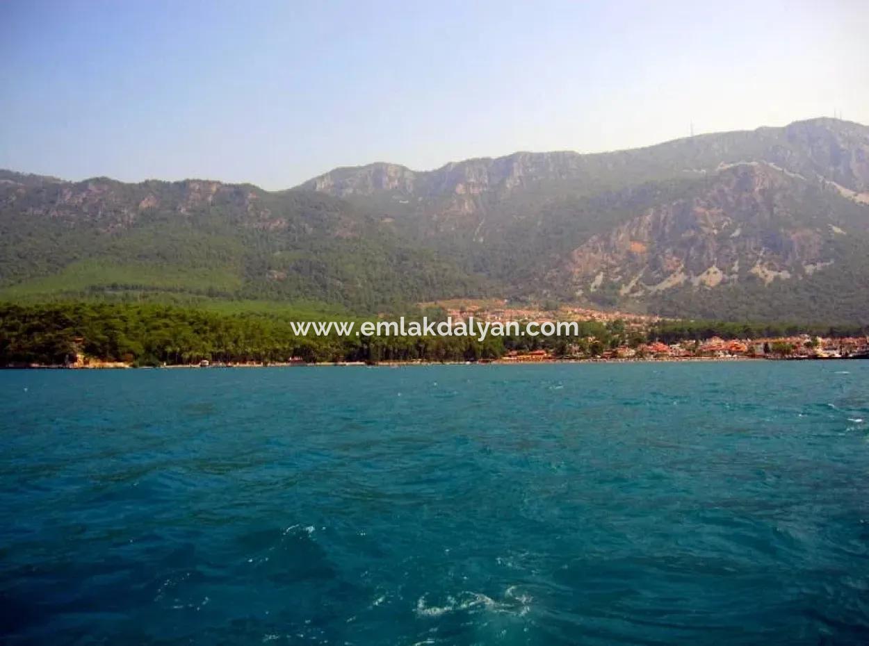 Gökçe Satılık Arsa Gökçe 21671M2 Satılık Tarla