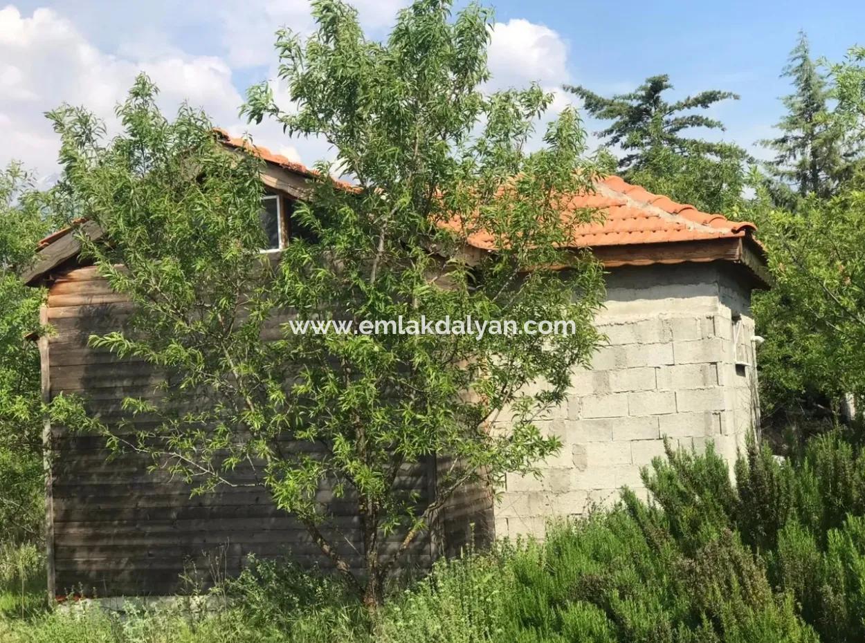 Seydikemer Korubükün Satılık 76000M2 Ciftlik Arazisi