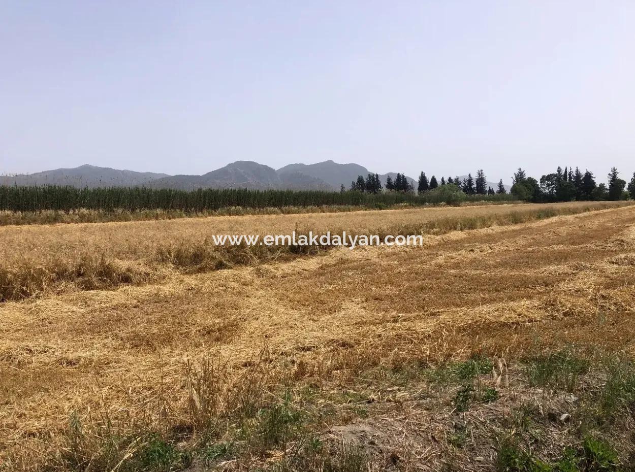 Eskiköy'de 39 Dönüm Çiftlik Arazisi Satılıktır