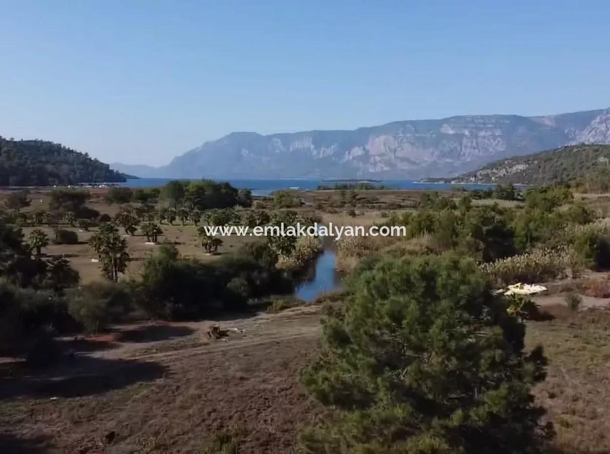 Çamlıda Satılık Arsa Arazi Marmaris Çamlıda Deniz Manzaralı 11720M2 Satılık Arsa