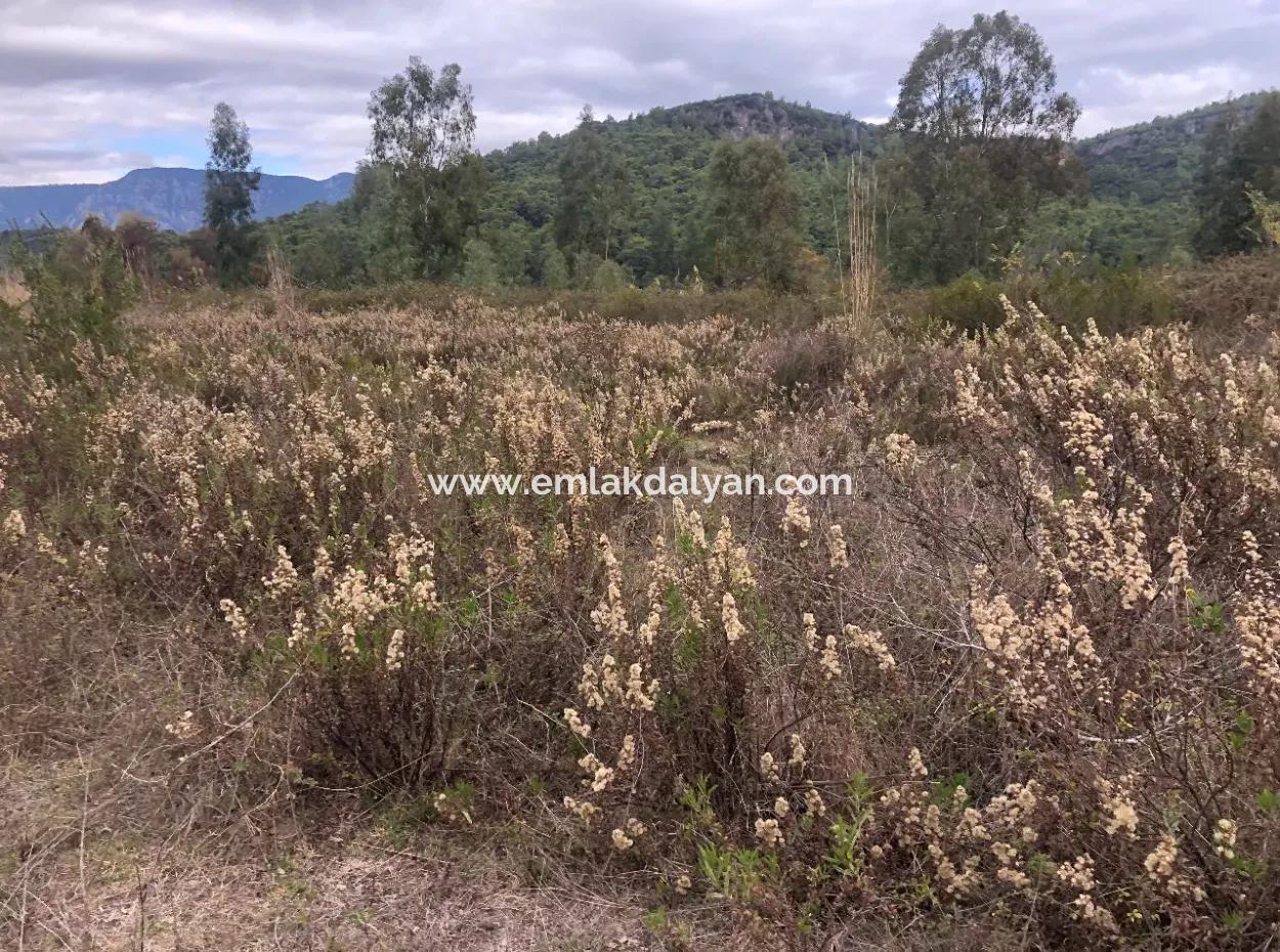 Çamlı Kanala Sıfır Satılık Arazi Arsa Çamlıda Deniz Manzaralı 28768M2 Satılık Arsa
