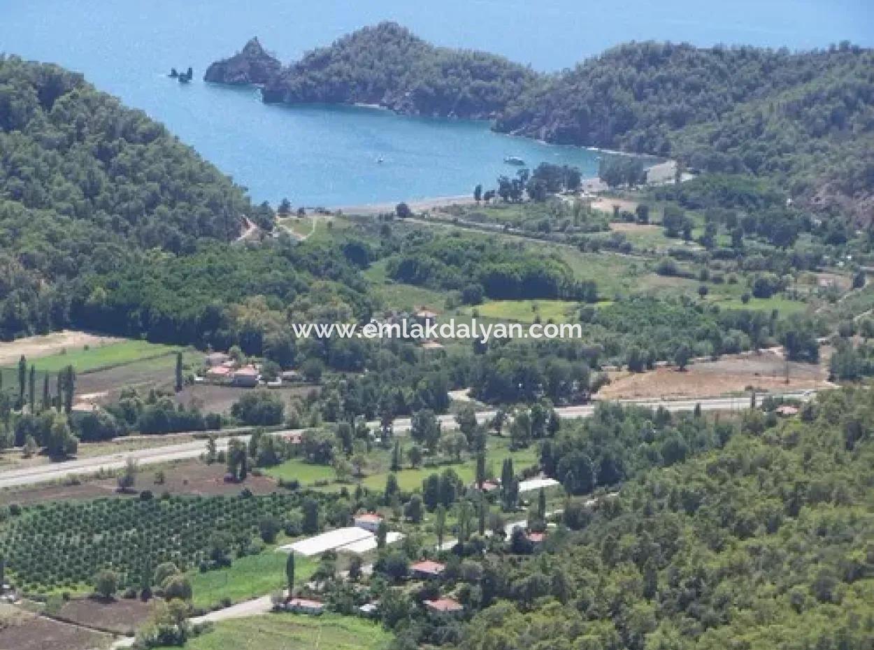 Göcek Satılık Arsa İnlice Denize Yakın 1929M2 Ada Bazında Satılık Arsa