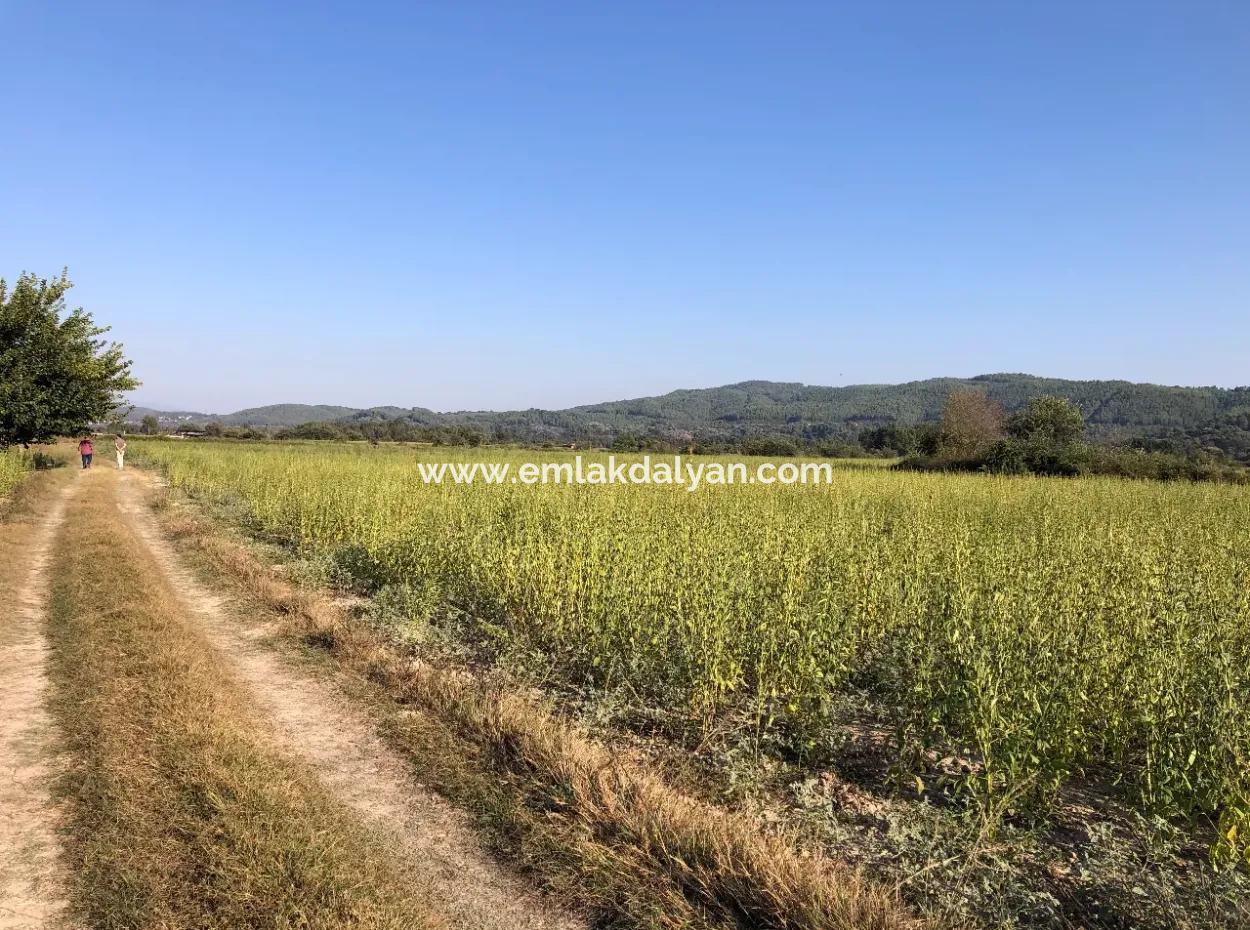 Akçapınarda Satılık Tarla 100 Dönüm Satılık Tarla