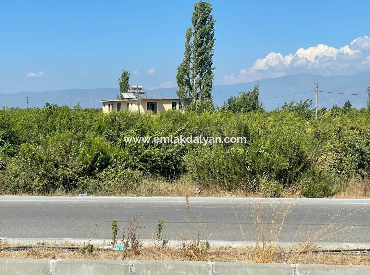 Dalyan Ana Yola Sıfır Satılık 8115M2 Ticari Satılık Arsa