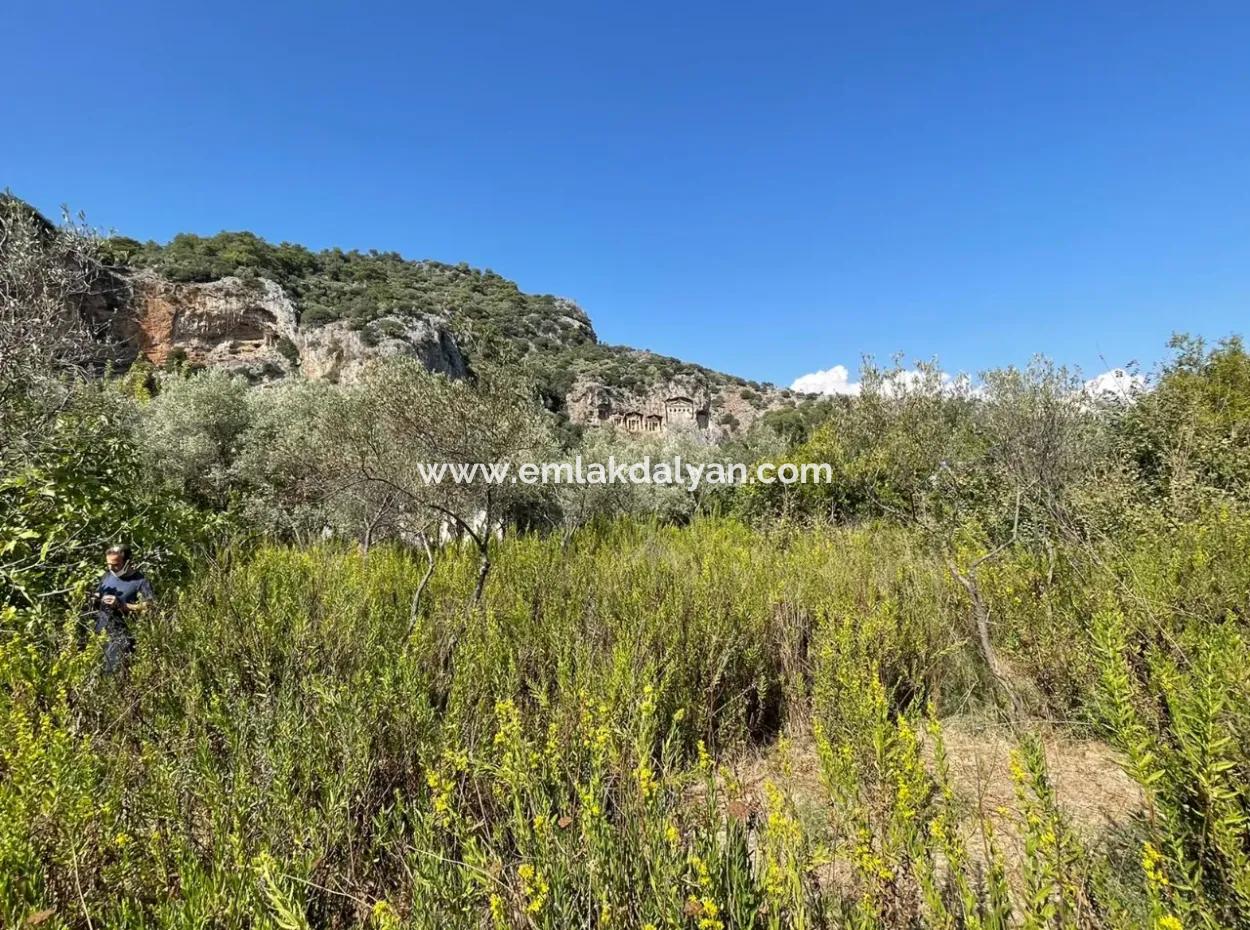 Çandır Kanala Sıfır 2765M2 Satılık Müstakil Ev