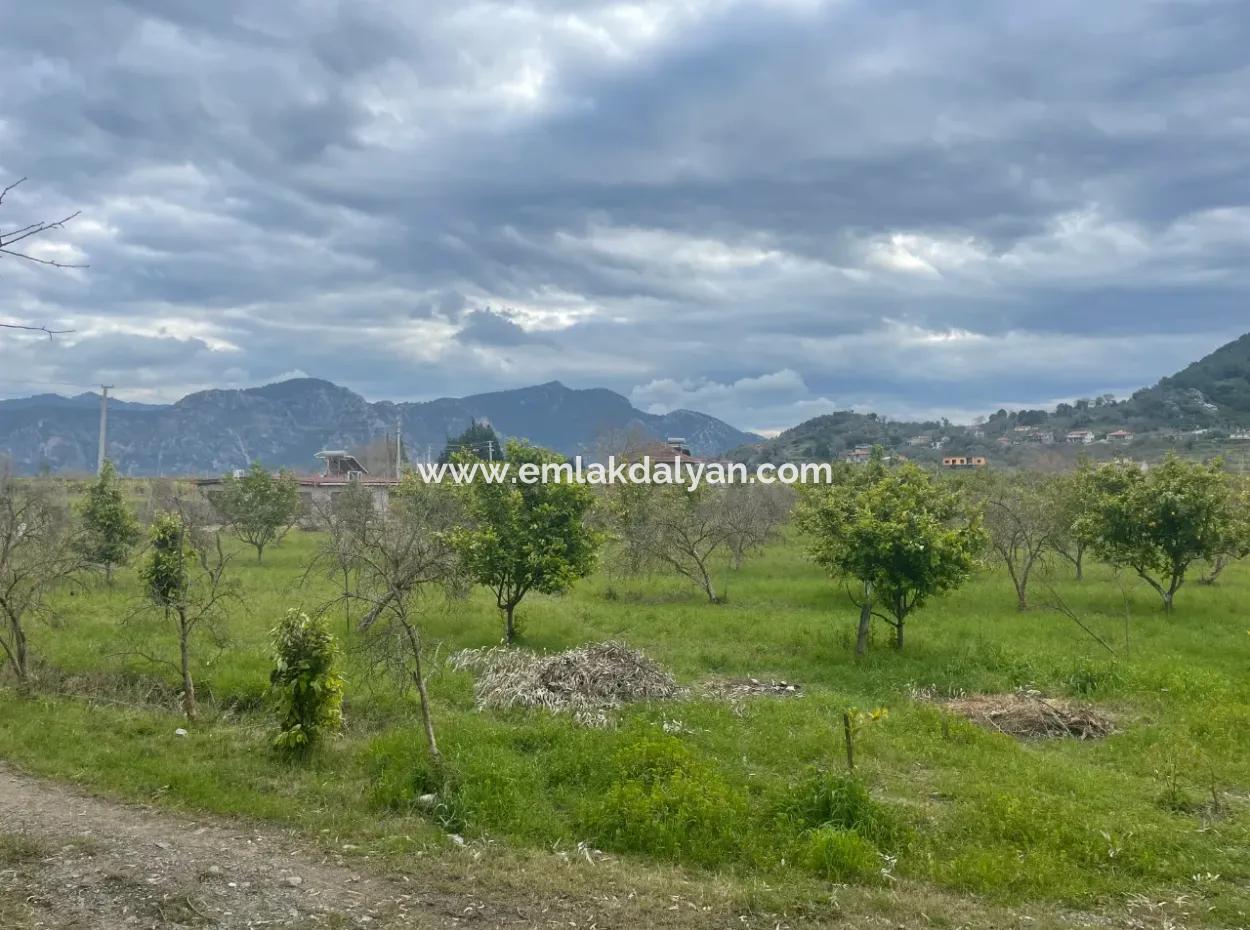 Dalyan Satılık Butik Otel 11.000M2 Arsa İçinde Satılık Bungolevler