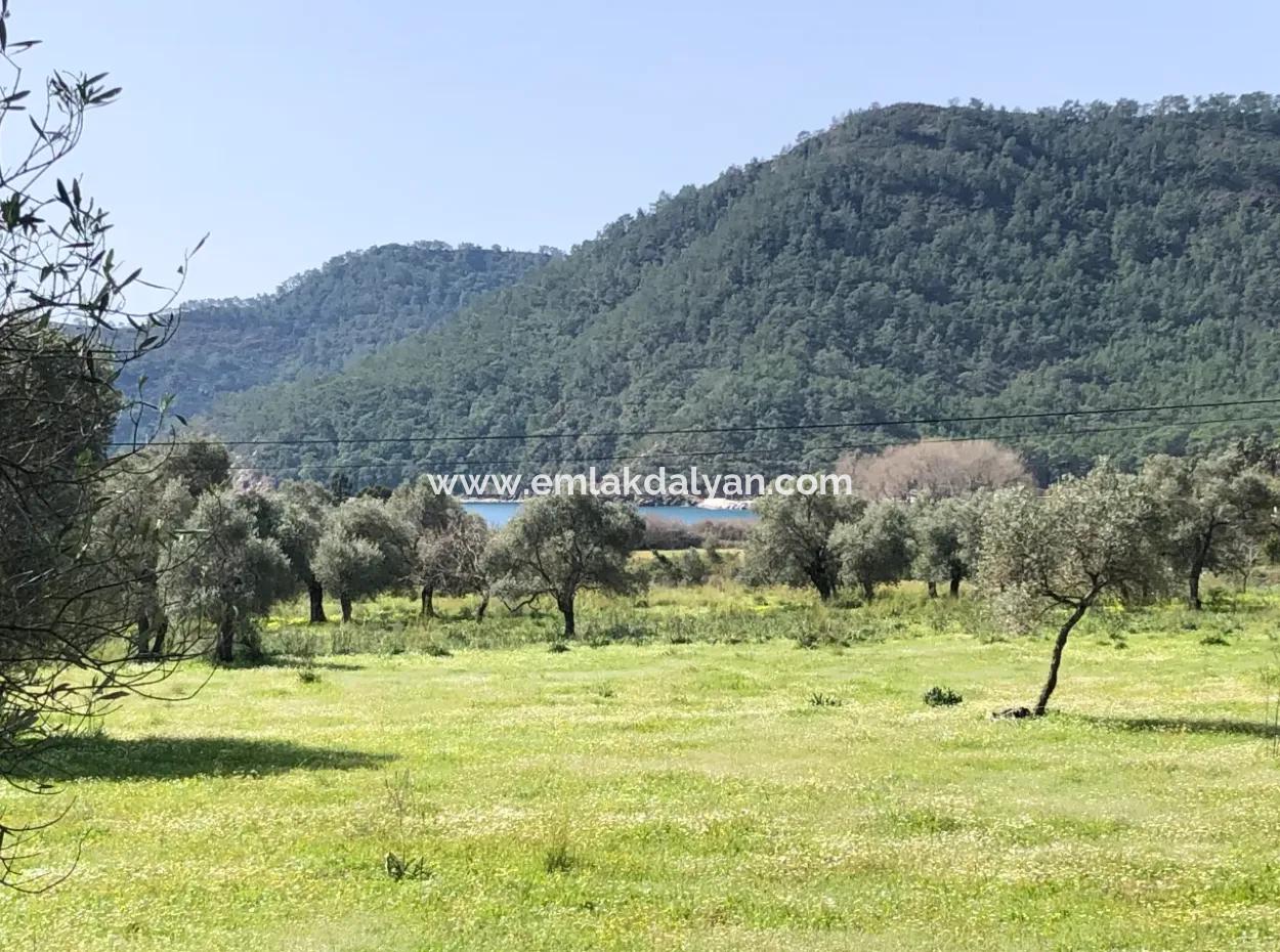 Ekincik'de Denize Yakın Manzaralı 3250M2 Satılık Arazi