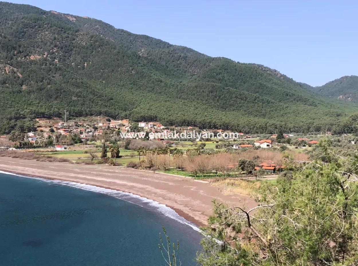 Ekincik'de Denize Yakın Manzaralı 3250M2 Satılık Arazi