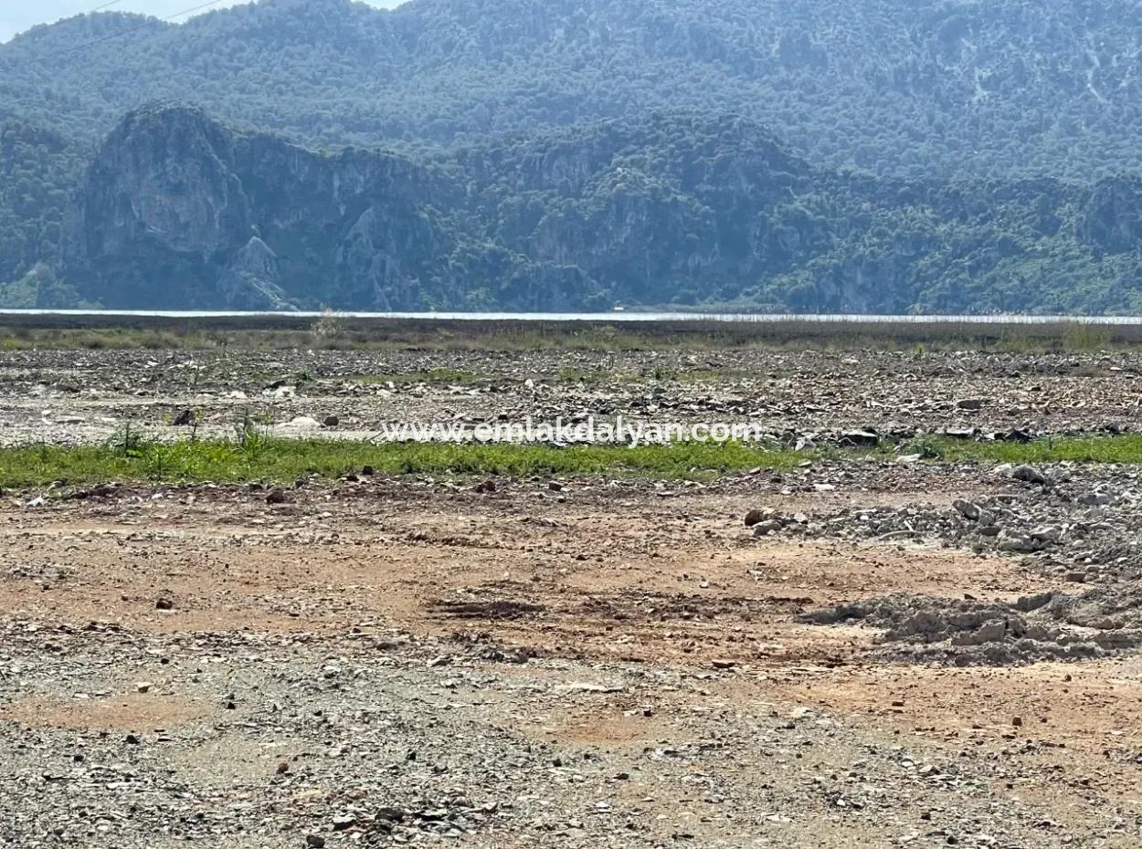 Dalyan İztuzu Plaj Yoluna Sıfır 19,600M2 Satılık Tarla Arazi