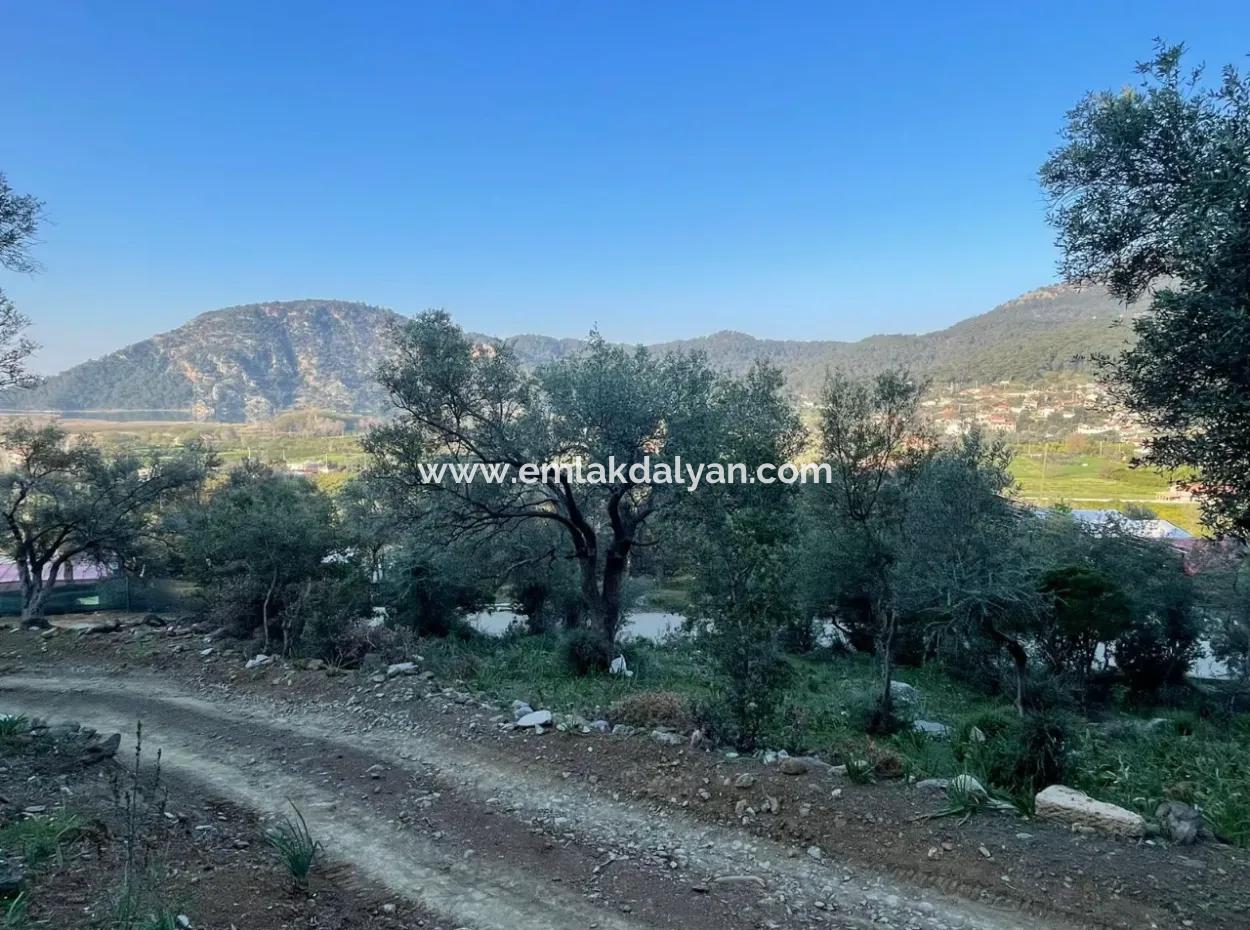 Çandır Göl Deniz Manzaralı 2,806M2 2B Satılık Tarla