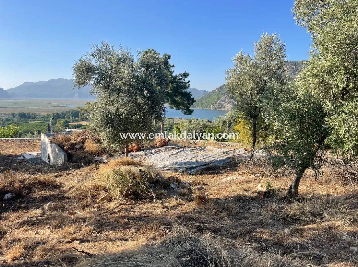 Çandır Full Deniz Ve Göl Manzaralı 500M2 Satılık 2B Tarla