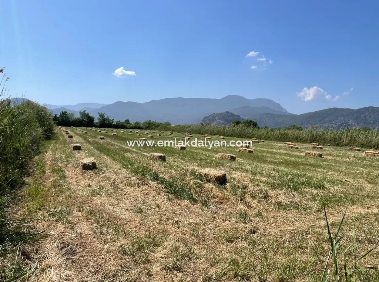Dalyan'da İztuzu Yoluna Sıfır 6,500M2 Satılık Tarla