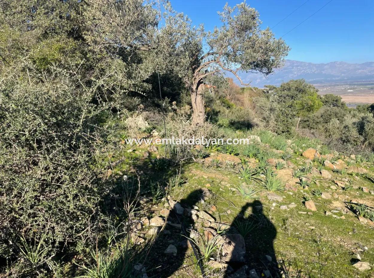 Çandır'da Deniz Manzaralı Satılık 2B Arazisi