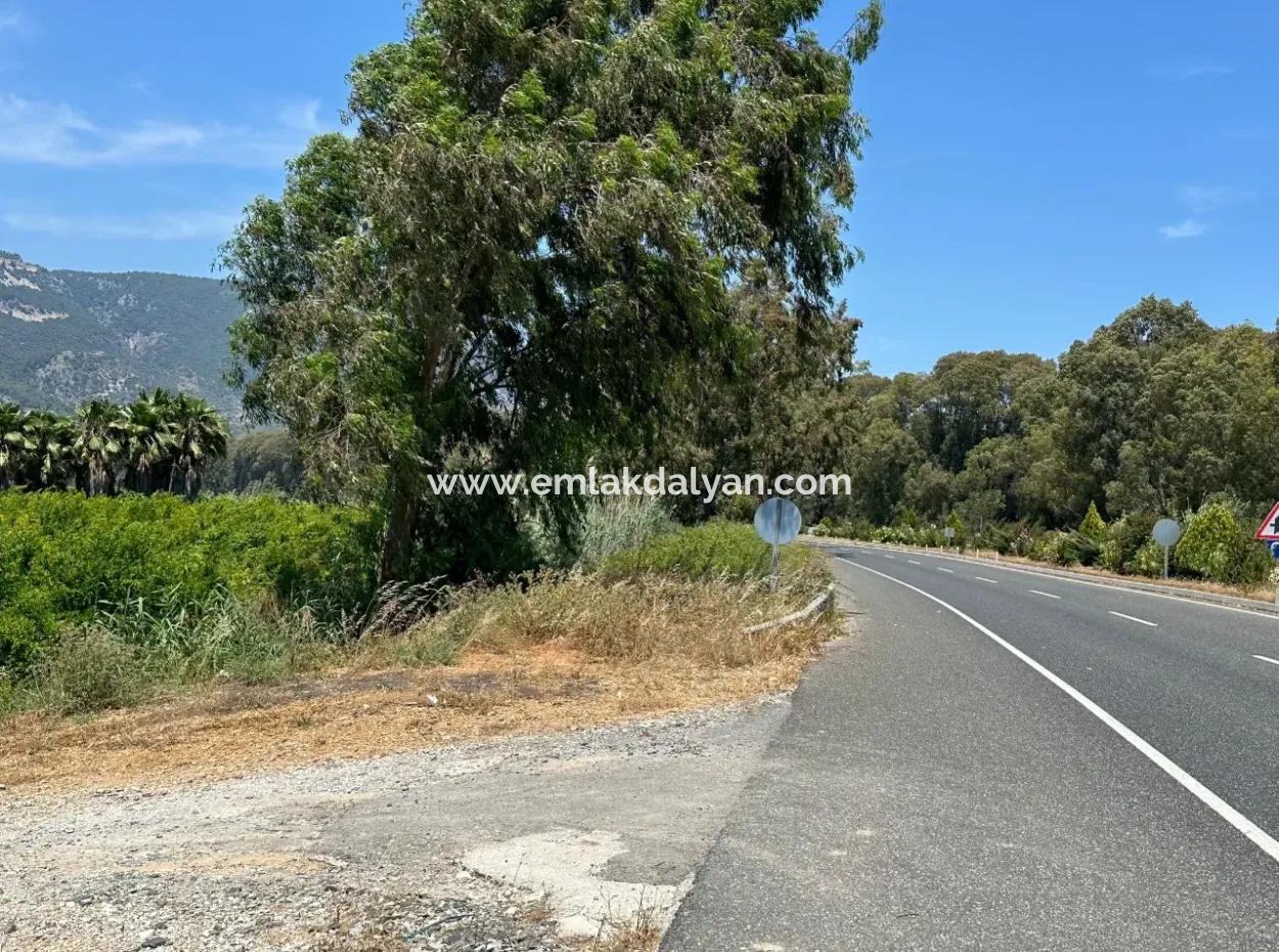 Akyaka Akçapınar'da Yola Sıfır 13,500M2 Satılık  Tarla