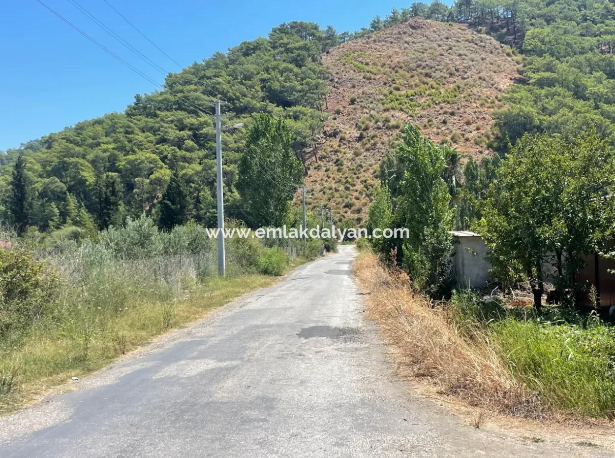 Tepearasın'da Yol Sıfır 6820M2 Nar Ve Limon Bahçesi Satılıktır