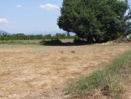 Okçular'da Satılık Arsa Dalyan Okçularda Köşe 650M2 Satılık Arsa