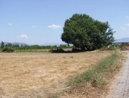 Okçular'da Satılık Arsa Dalyan Okçularda Köşe 650M2 Satılık Arsa