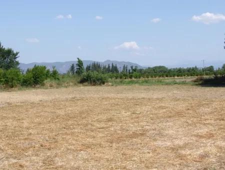 Okçular'da Satılık Arsa Dalyan Okçularda Köşe 650M2 Satılık Arsa
