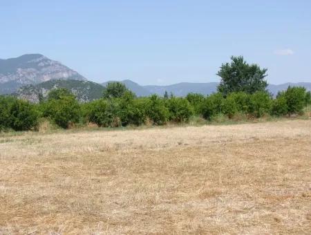 Okçular'da Satılık Arsa Dalyan Okçularda Köşe 650M2 Satılık Arsa