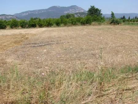 Okçular'da Satılık Arsa Dalyan Okçularda Köşe 650M2 Satılık Arsa