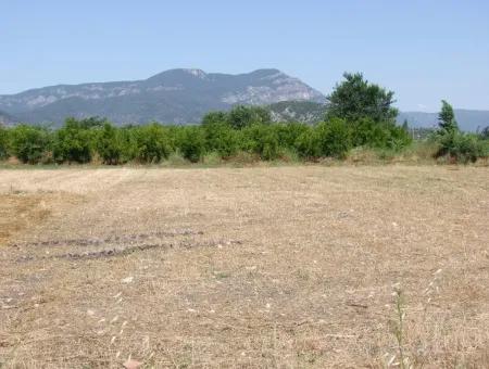 Okçular'da Satılık Arsa Dalyan Okçularda Köşe 650M2 Satılık Arsa