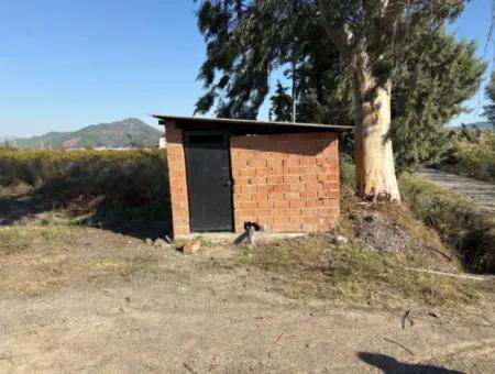 Eskiköyde 21500M2 Nar Bahçesi Satılık