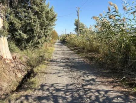 Eskiköyde 21500M2 Nar Bahçesi Satılık