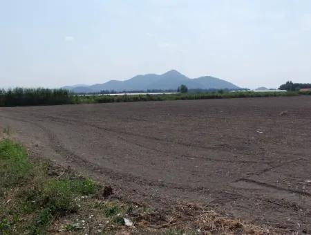 Eskiköyde Satılık Arsa Tarla Ortaca Dalyan Eskiköyde 15,760M2 Satlık Arsa Tarla