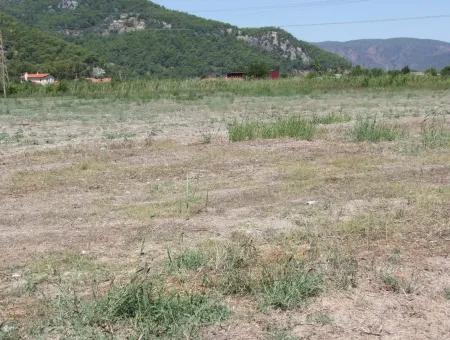 Dalyan'da Satılık 23600M2 Yatırıma Uygun Arazi