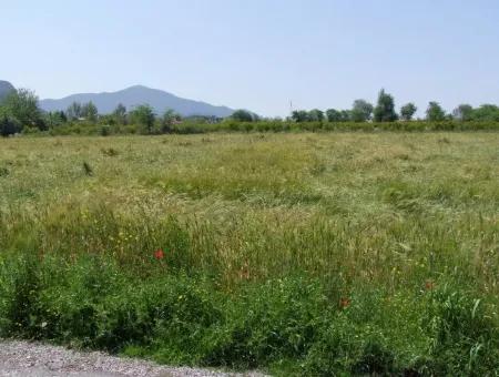 Dalyan Satılık Arsa Nar Bahçe 8,600M2 Kelepir Satılık Tarla Arsa