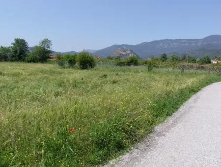 Dalyan Satılık Arsa Nar Bahçe 8,600M2 Kelepir Satılık Tarla Arsa
