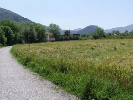 Dalyan Satılık Arsa Nar Bahçe 8,600M2 Kelepir Satılık Tarla Arsa