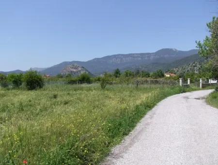 Dalyan Satılık Arsa Nar Bahçe 8,600M2 Kelepir Satılık Tarla Arsa