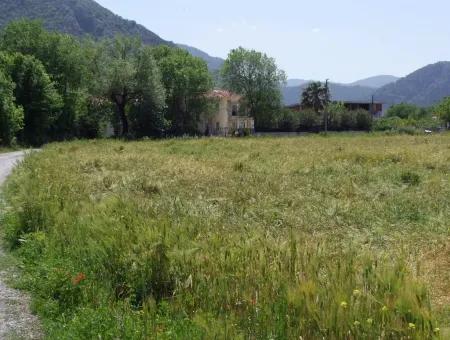Dalyan Satılık Arsa Nar Bahçe 8,600M2 Kelepir Satılık Tarla Arsa