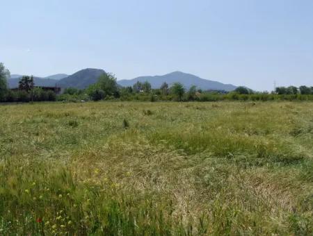 Dalyan Satılık Arsa Nar Bahçe 8,600M2 Kelepir Satılık Tarla Arsa