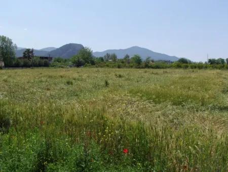 Dalyan Satılık Arsa Nar Bahçe 8,600M2 Kelepir Satılık Tarla Arsa