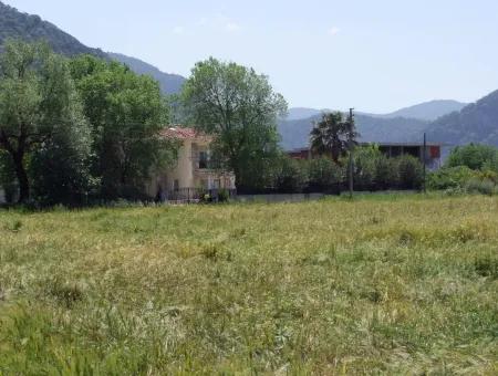 Dalyan Satılık Arsa Nar Bahçe 8,600M2 Kelepir Satılık Tarla Arsa