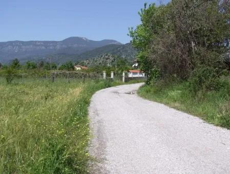 Dalyan Satılık Arsa Nar Bahçe 8,600M2 Kelepir Satılık Tarla Arsa