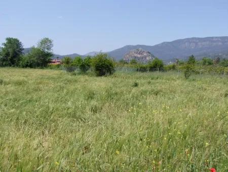 Dalyan Satılık Arsa Nar Bahçe 8,600M2 Kelepir Satılık Tarla Arsa