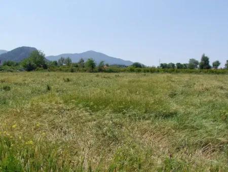 Dalyan Satılık Arsa Nar Bahçe 8,600M2 Kelepir Satılık Tarla Arsa