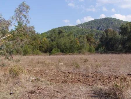 Çamlı'da 25200M2 Satılık Arazi