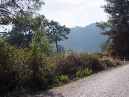 Çamlı'da 25200M2 Satılık Arazi