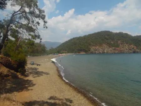 Göcek Satılık Arsa İnlice Denize Yakın 1929M2 Ada Bazında Satılık Arsa