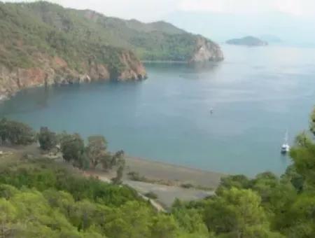 Göcek Satılık Arsa İnlice Denize Yakın 1929M2 Ada Bazında Satılık Arsa