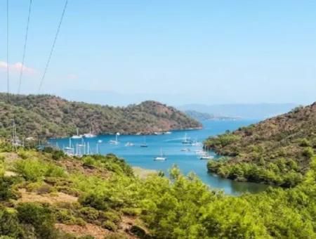Göcek Satılık Arsa İnlice Denize Yakın 1929M2 Ada Bazında Satılık Arsa