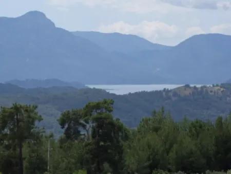 Zeytinalanda Satılık Lüks Villa Köyceğiz Zeytınalanda 6800M2 Arsa Full Göl Manzaralı Satılık Villa