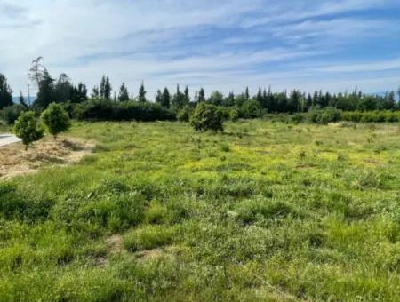 Eskiköyde 7120M2 Arsa İçinde Satılık Villa